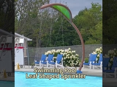 OEMウォーターパーク機器,カクトススプレー水スプラッシュパッド プールおもちゃ